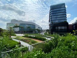 woods-square photo thumbnail #6